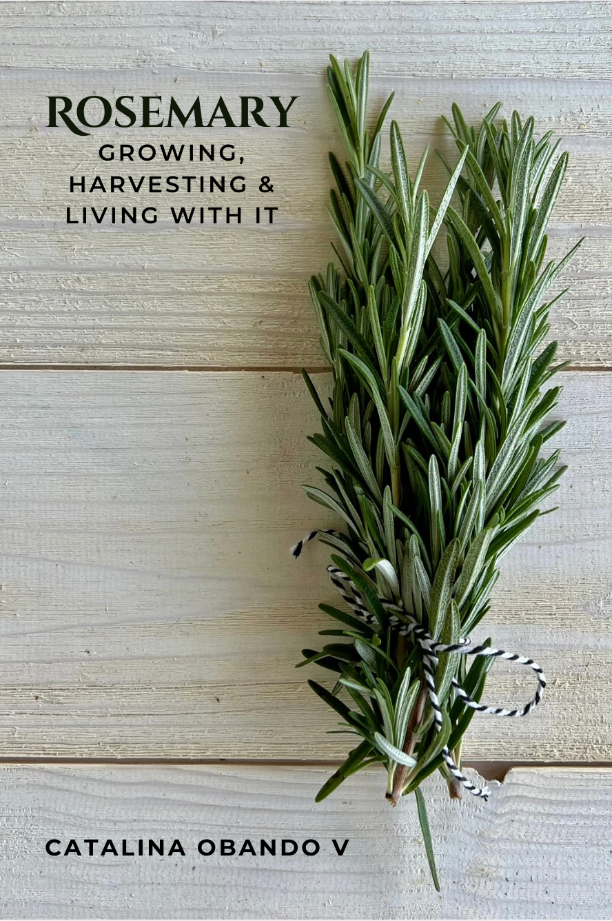Rosemary — Growing, Harvesting & Living With It (Digital PDF