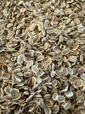 Farm-Fresh Dill Seeds – 600 mg Pack (Approx. 200 Seeds)
