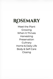 Rosemary — Growing, Harvesting & Living With It (Digital PDF)