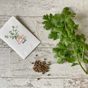 Coriander Seed Pkt of 2 grams seeds  (Cilantro) / Naturally Grown