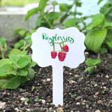 Raspberries Aluminum Garden Marker 7x4 in.
